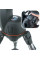 Телескоп Celestron NexStar 127 SLT